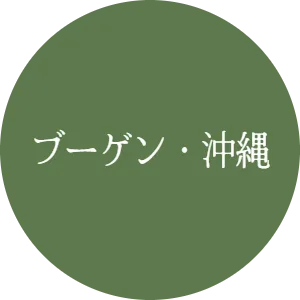 ブーゲン・沖縄